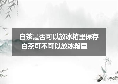 白茶是否可以放冰箱里保存 白茶可不可以放冰箱里
