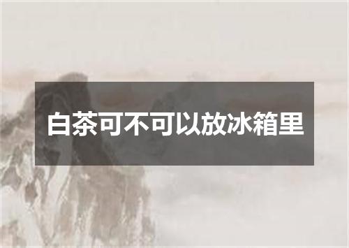白茶可不可以放冰箱里