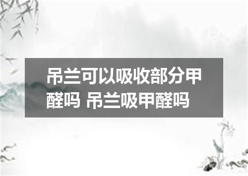 吊兰可以吸收部分甲醛吗 吊兰吸甲醛吗