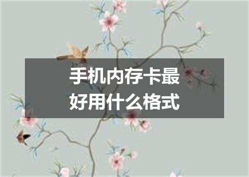 手机内存卡最好用什么格式
