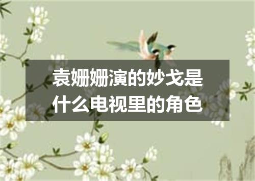 袁姗姗演的妙戈是什么电视里的角色