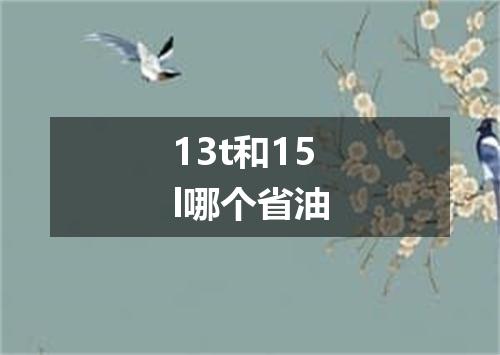 13t和15l哪个省油