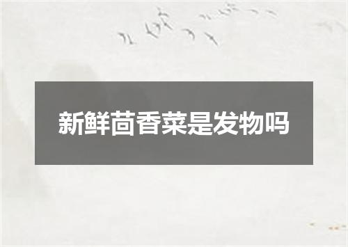 新鲜茴香菜是发物吗