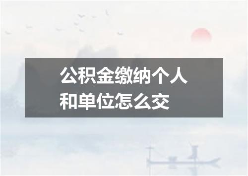 公积金缴纳个人和单位怎么交