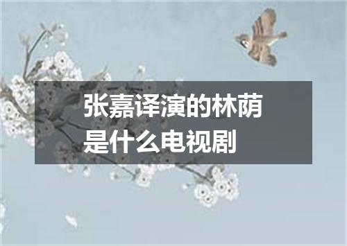 张嘉译演的林荫是什么电视剧