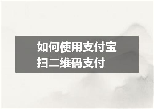 如何使用支付宝扫二维码支付
