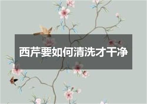 西芹要如何清洗才干净