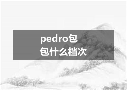 pedro包包什么档次