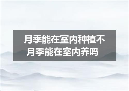 月季能在室内种植不 月季能在室内养吗
