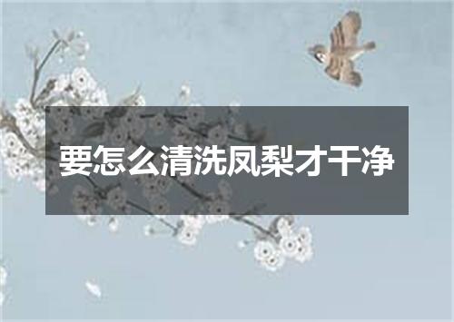 要怎么清洗凤梨才干净