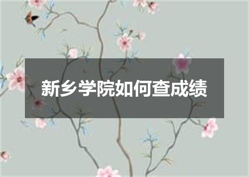 新乡学院如何查成绩
