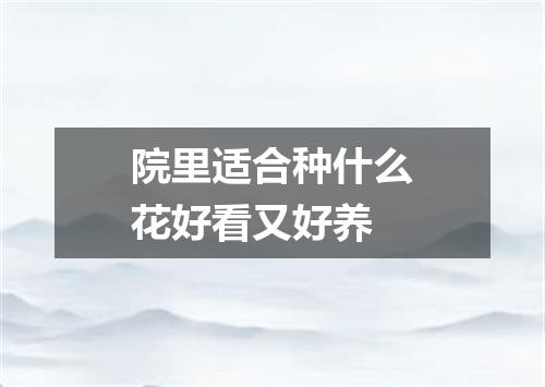 院里适合种什么花好看又好养