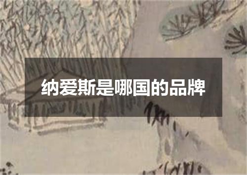 纳爱斯是哪国的品牌