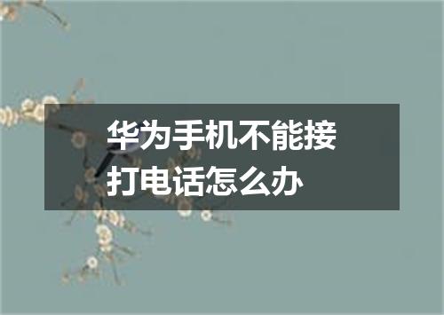 华为手机不能接打电话怎么办