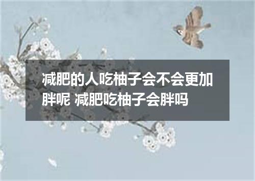 减肥的人吃柚子会不会更加胖呢 减肥吃柚子会胖吗