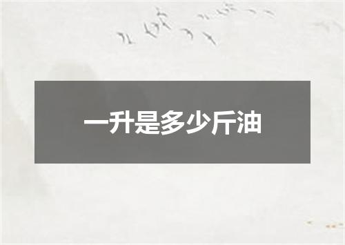 一升是多少斤油