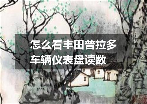 怎么看丰田普拉多车辆仪表盘读数