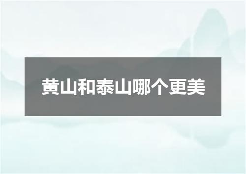 黄山和泰山哪个更美