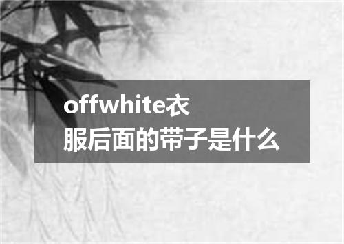 offwhite衣服后面的带子是什么