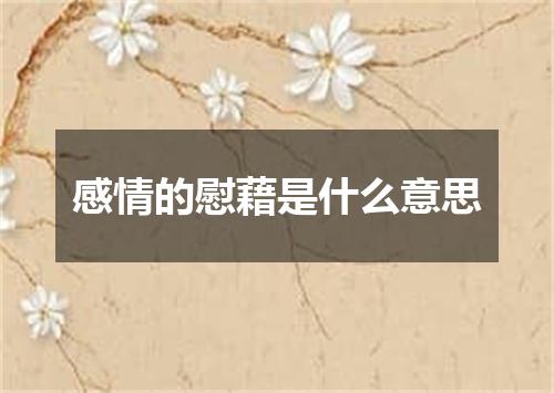 感情的慰藉是什么意思