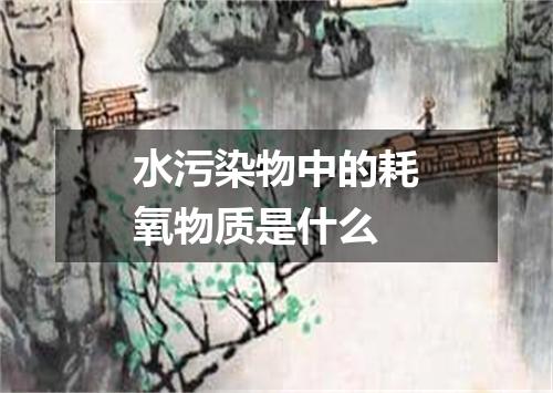 水污染物中的耗氧物质是什么