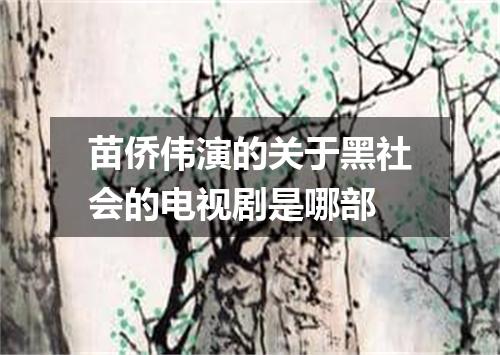 苗侨伟演的关于黑社会的电视剧是哪部