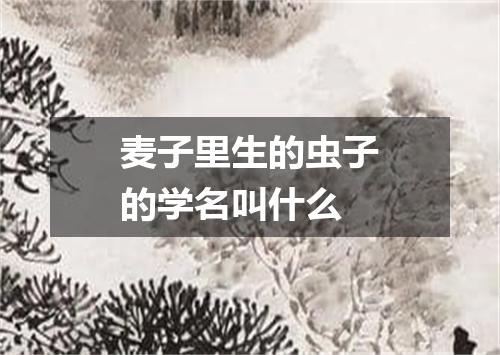 麦子里生的虫子的学名叫什么