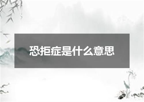 恐拒症是什么意思