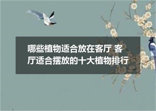 哪些植物适合放在客厅 客厅适合摆放的十大植物排行