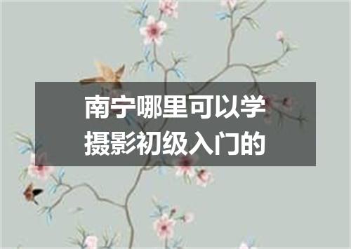 南宁哪里可以学摄影初级入门的