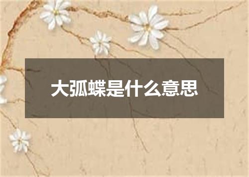 大弧蝶是什么意思