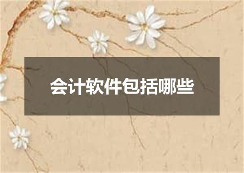 会计软件包括哪些