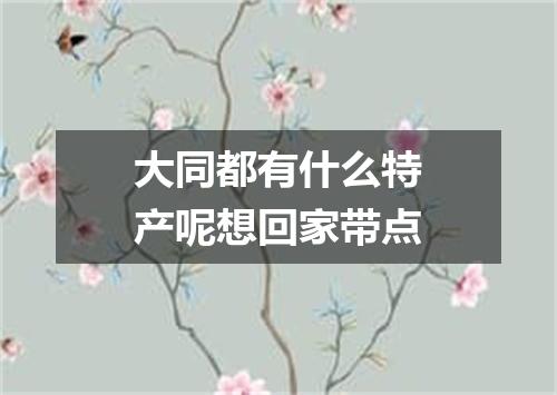 大同都有什么特产呢想回家带点