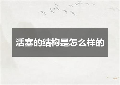 活塞的结构是怎么样的