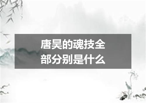 唐昊的魂技全部分别是什么