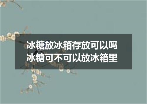 冰糖放冰箱存放可以吗 冰糖可不可以放冰箱里