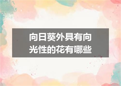 向日葵外具有向光性的花有哪些