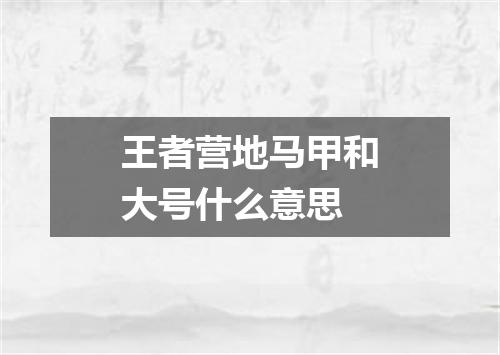 王者营地马甲和大号什么意思