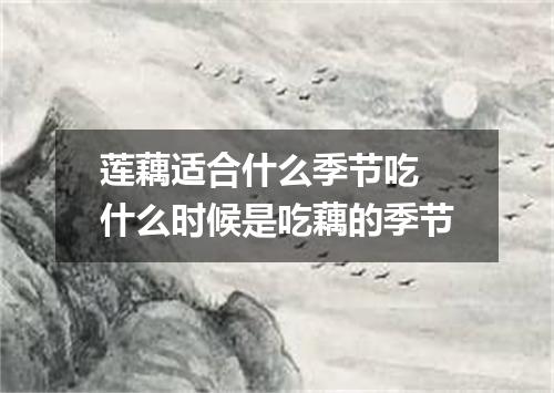 莲藕适合什么季节吃 什么时候是吃藕的季节