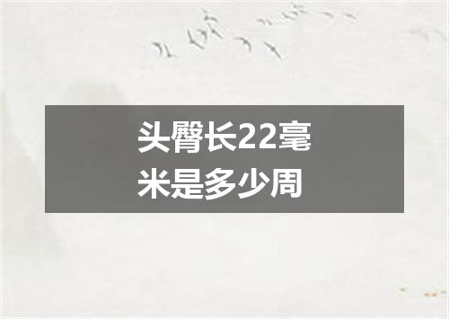 头臀长22毫米是多少周