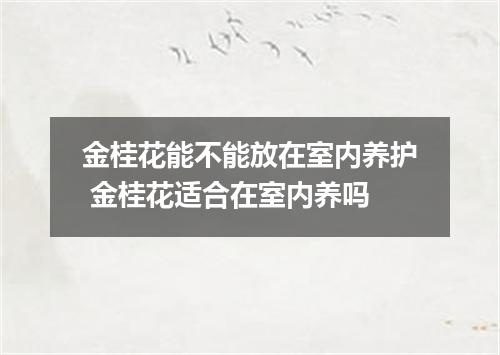 金桂花能不能放在室内养护 金桂花适合在室内养吗