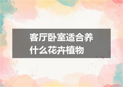 客厅卧室适合养什么花卉植物