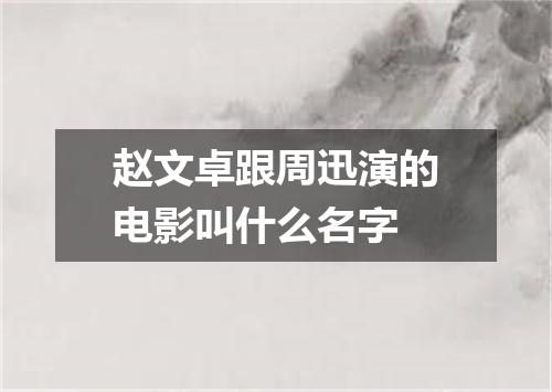 赵文卓跟周迅演的电影叫什么名字