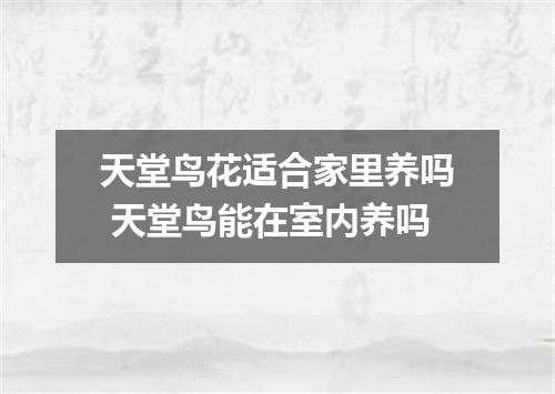 天堂鸟花适合家里养吗 天堂鸟能在室内养吗