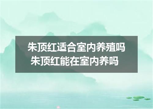 朱顶红适合室内养殖吗 朱顶红能在室内养吗