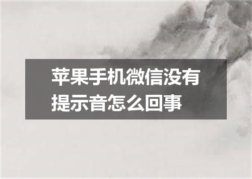 苹果手机微信没有提示音怎么回事