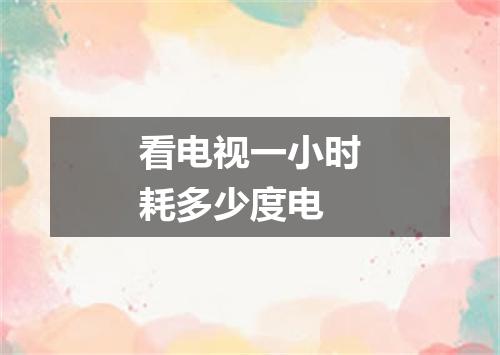 看电视一小时耗多少度电
