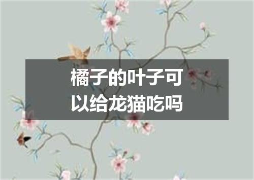 橘子的叶子可以给龙猫吃吗