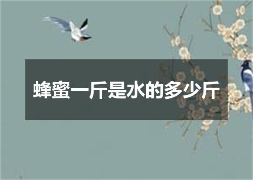 蜂蜜一斤是水的多少斤