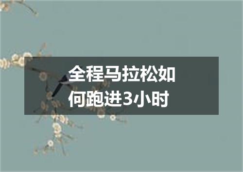 全程马拉松如何跑进3小时